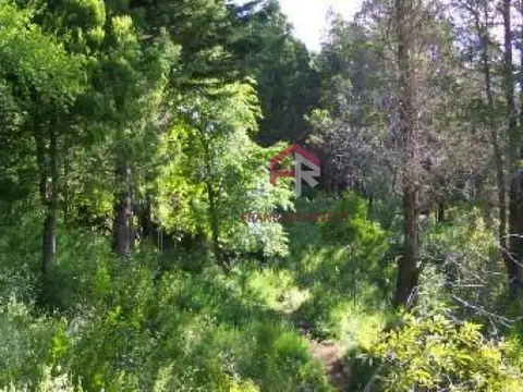 Terreno en Venta de 19500,0 m2