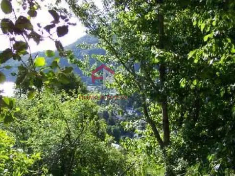 Camino Viejo Al Chapelco