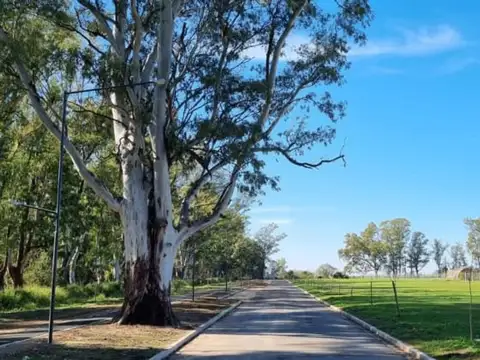 Terreno en Venta de 242,0 m2