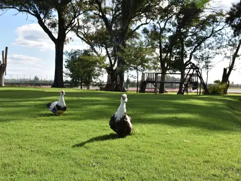 Terreno en Venta 20  mts Frente