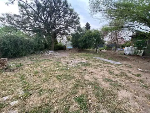 Gran Local Comercial | 300 m² cubiertos | A 150 metros de la RN11 | Oliveros