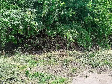 Lote 1.200 m² sobre Panamericana Ramal Pilar km 42.5 — Del Viso — Excelente ubicación comercial