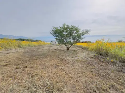 Terreno en Venta de 612,0 m2