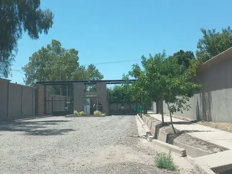 TERRENO - OLIVOS DE RUSSEL