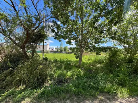 LOTE EN VENTA EN VILLA PARQUE SICARDI