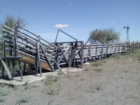 Quinta en Venta 2025 años