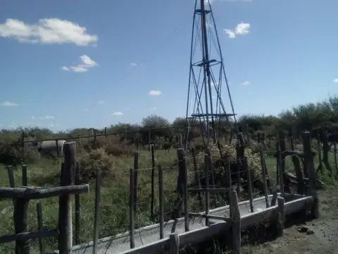 VENDO CAMPO GANADERO EN CARMENSA GENERAL ALVEAR MENDOZA