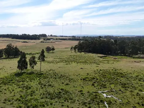 Campo en venta de 59 ha sobre ruta 9 a 15 min de José Ignacio