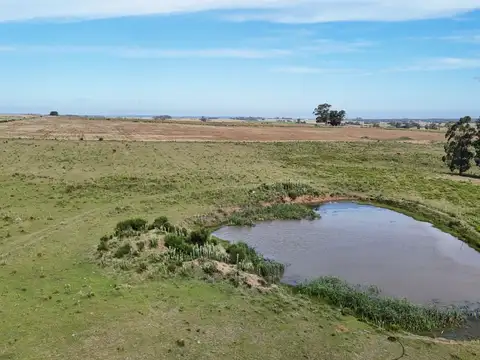 Campo en venta de 59 ha sobre ruta 9 a 15 min de José Ignacio