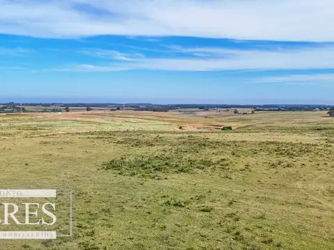 Campo en venta de 59 ha sobre ruta 9 a 15 min de José Ignacio