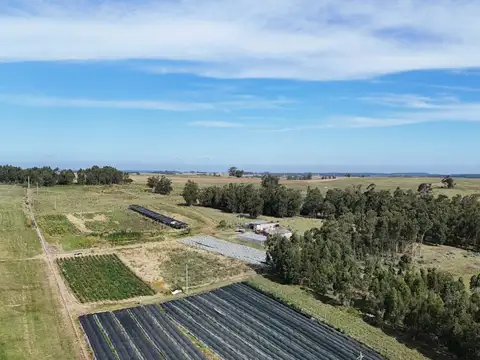 Campo en venta de 59 ha sobre ruta 9 a 15 min de José Ignacio