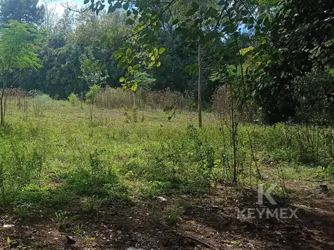 Alquiler Lote - Terreno de 6250 mt2 sobre calle Guido - fácil acceso a Panamericana