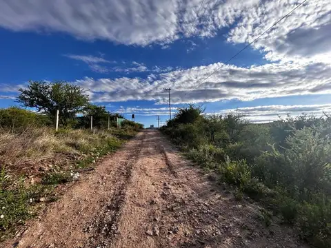 Benjamín Lavaisse 100