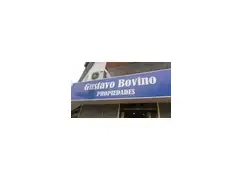 GUSTAVO BOVINO