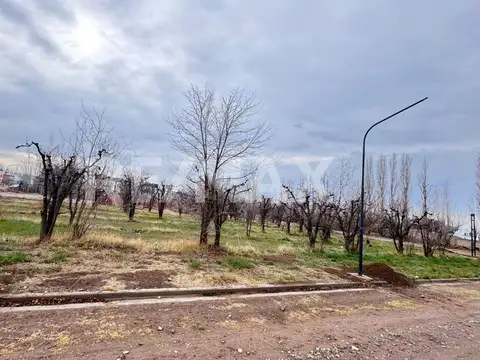 Terreno en Venta en Cipolletti, USD 65.000