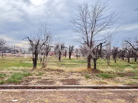 Terreno en Venta de 534,0 m2