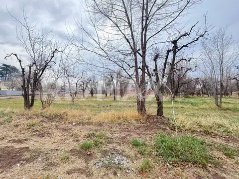 Terreno en Venta de 534,0 m2
