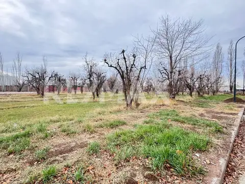 Loteo Ayres de Septiembre, San Luis 1700, Manzana 378B, Lote 100