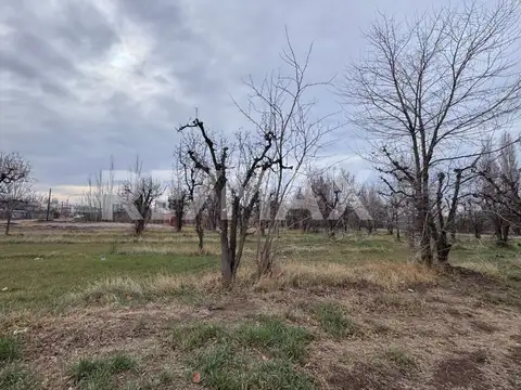 Terreno en Venta en Cipolletti, USD 65.000