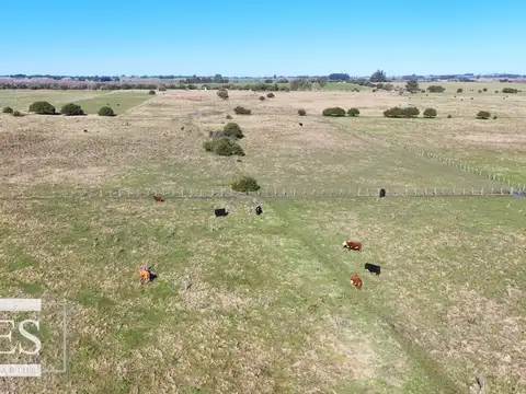 Venta de campo 26 ha Maldonado, Uruguay.