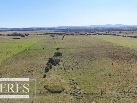Venta de campo 26 ha Maldonado, Uruguay.