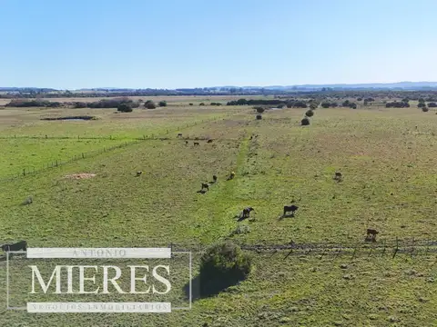 Venta de campo 26 ha Maldonado, Uruguay.