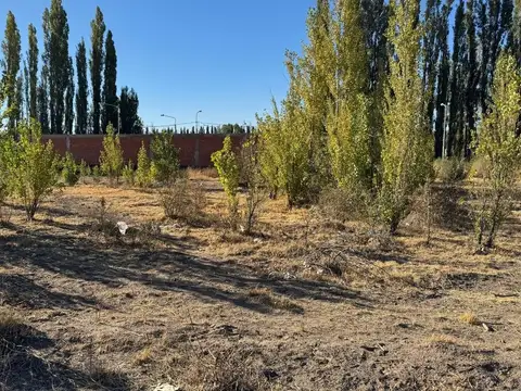 VENTA TERRENO 465M2 LOS ALAMOS NEUQUÉN