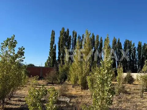 Terreno en Venta de 465,0 m2