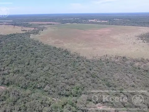 Campo en venta 46.000 Has Agrícola Ganadero y Forestal. Gran Unidad de campo para desarrollar!