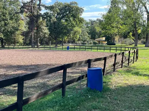 Terreno en venta - 1 hectarea - Estancias Las Lilas