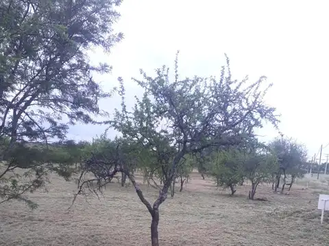 Terreno en Venta de 580,0 m2