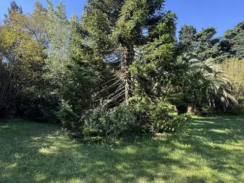 Terreno en Venta en Altos de Los Cardale, USD 92.000