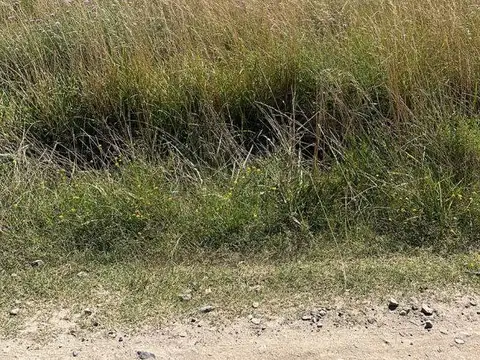 Terreno en Venta en Chascomus, USD 10.000