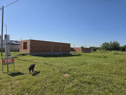 Terreno en Venta de 250,0 m2