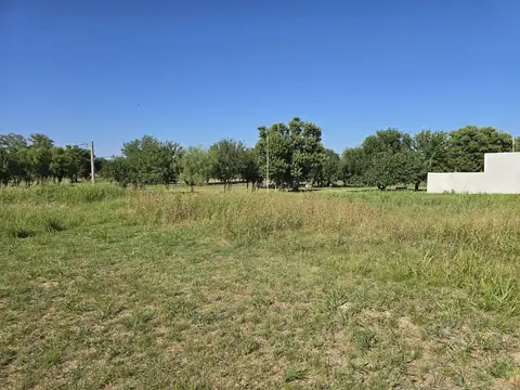 Terreno en Venta 25  mts Fondo