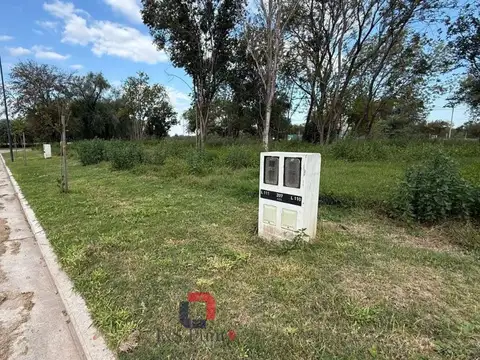 Terreno en Venta de 250,0 m2