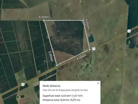 350 hectareas de pinos con 11 años (2 podas s/ resinar), Puerto Valle