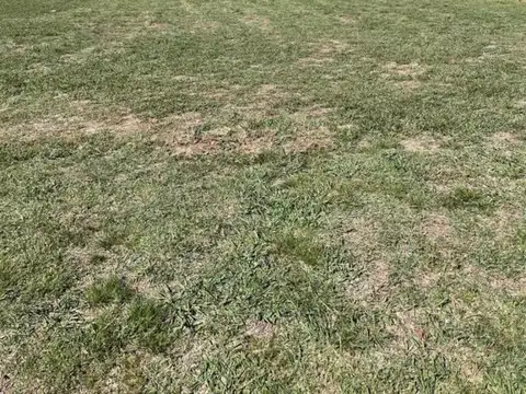 Terreno en venta en Los Alcanfores, Pilar 100