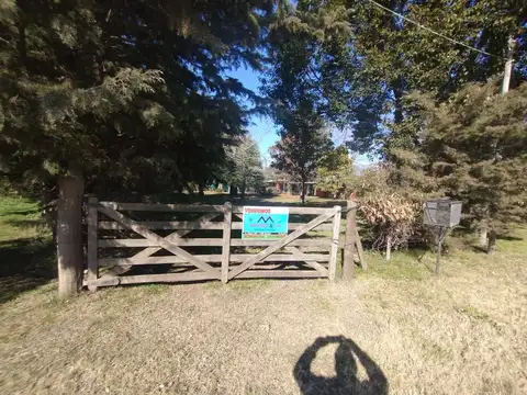 Alfonsina Storni 600