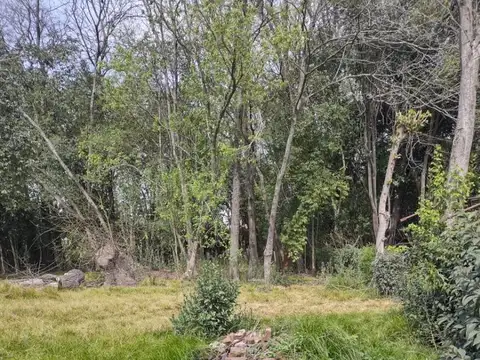 Terreno en Venta de 424,0 m2