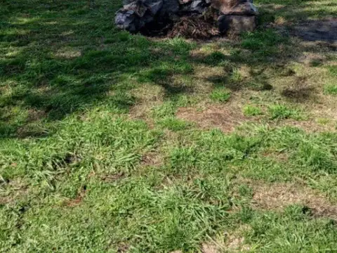 Terreno en venta de 1987m2 ubicado en Balneario Las Flores