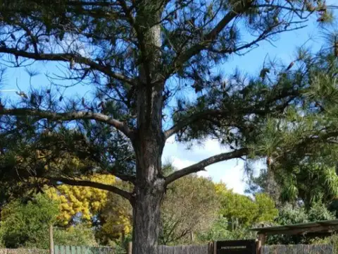 Terreno en Venta en Maldonado, USD 139.000