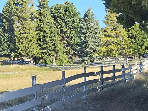 Río Pico  - Chubut - Patagonia - Producción, caza y pesca