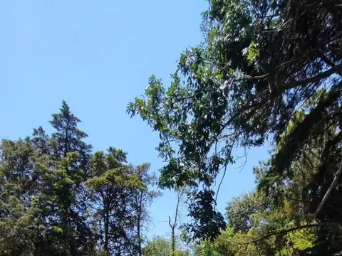 Camino de la Bota Calle los andes