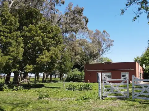 Campo en venta - 8ha - Lezama