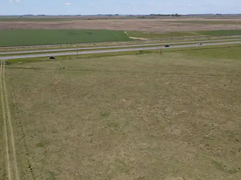 Campo en venta - 8ha - Lezama