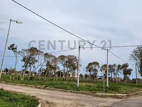 7 Y 628 LOTES EN BARRIO "LAS CORTADERAS"