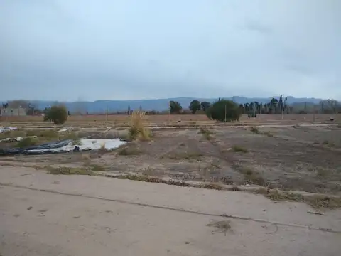 Mathus Hoyos y Tirasso 100