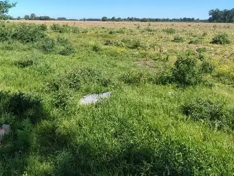 Campo en Venta Agricola