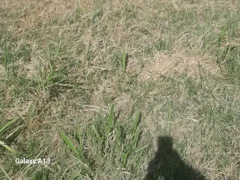 Terreno en venta en Parana en esquina hermosa vista